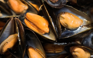 Mussel Inn Seafood Restaurant Our Delicious Mussels with a sauce of your choice