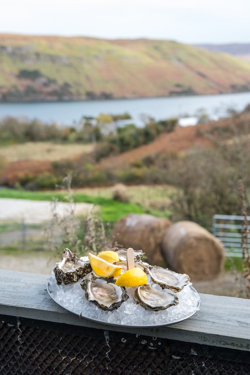Scottish oysters