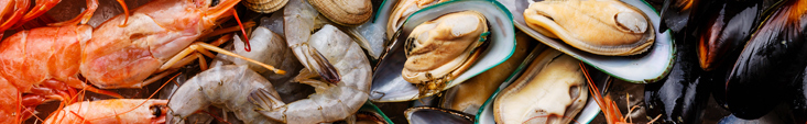 Mussel Inn supports The Fishermen’s Mission for 13th year running 2 Mussel Inn Seafood